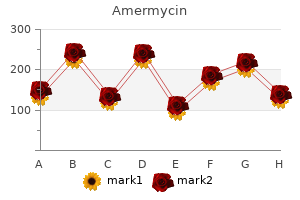 order 200 mg amermycin fast delivery