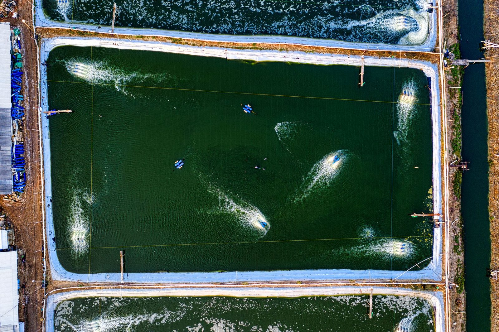 Drone view of rectangular shaped ponds with swimming fish in rippled water in countryside