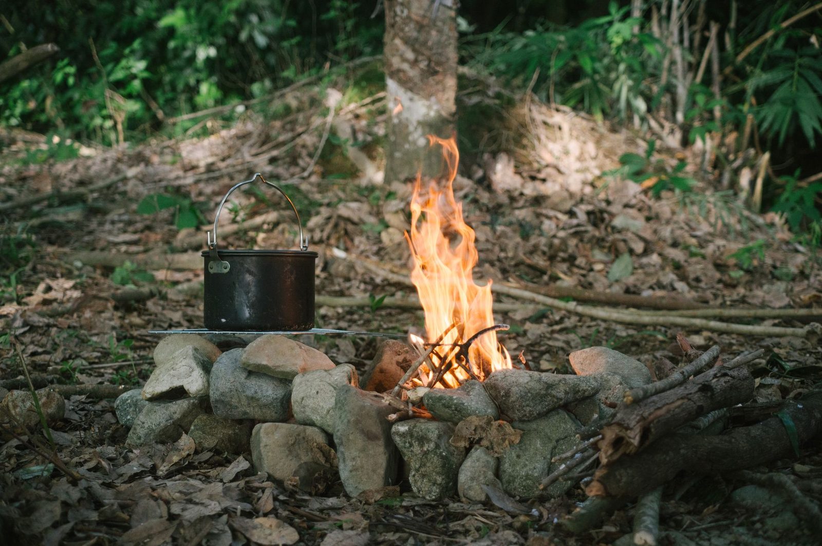 A tranquil scene of a campfire with a pot in the forest surrounded by nature.