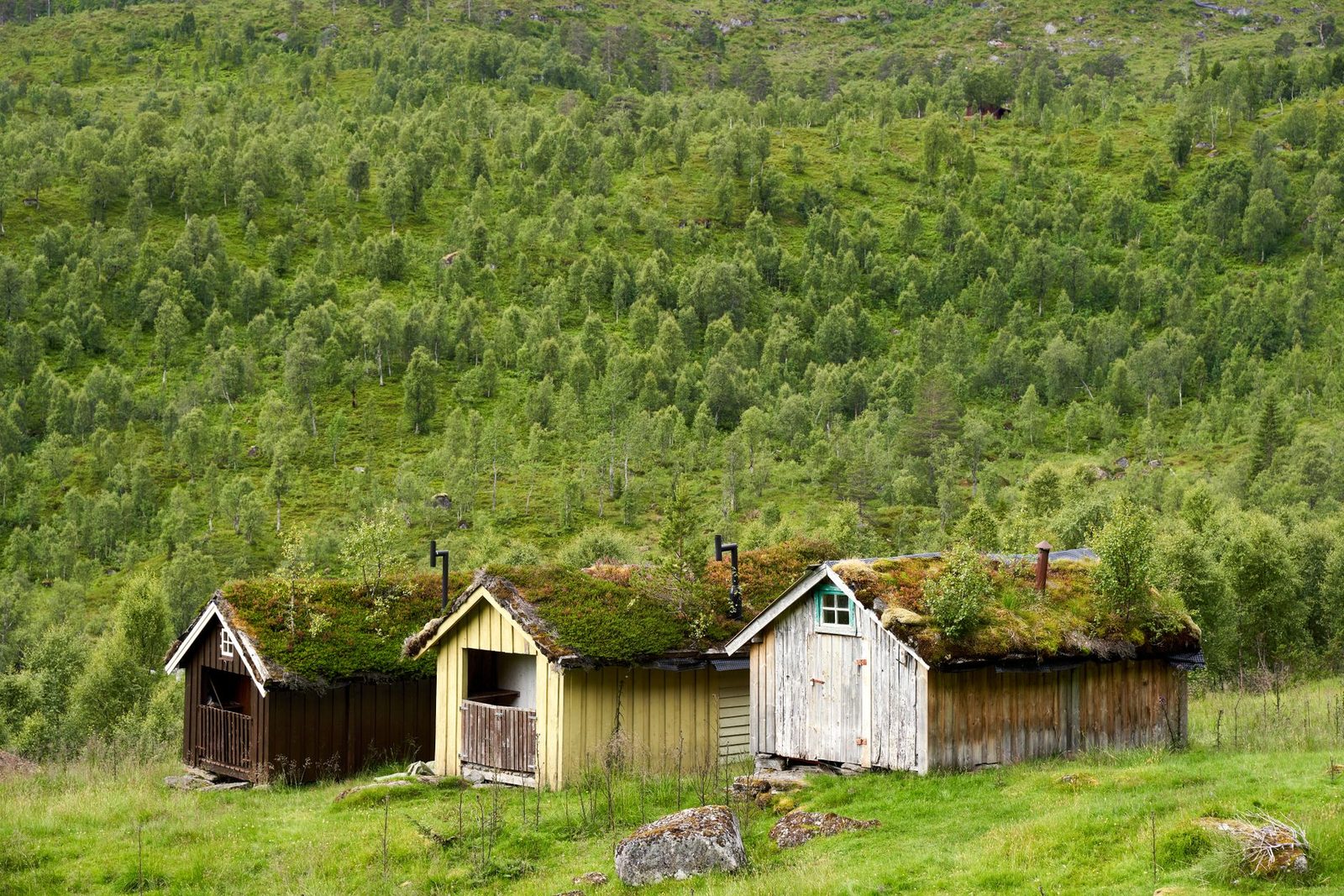 Rustic wooden cabins with moss-covered roofs nestled in lush green hills and forest.