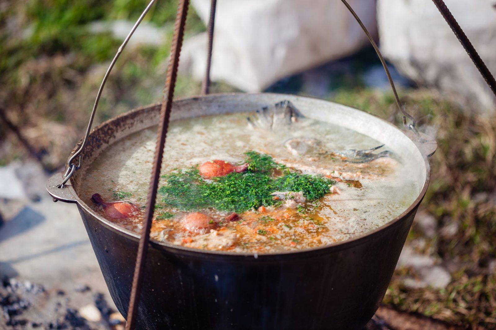 A hot pot of soup with herbs simmering over an outdoor fire, perfect for rustic cooking.