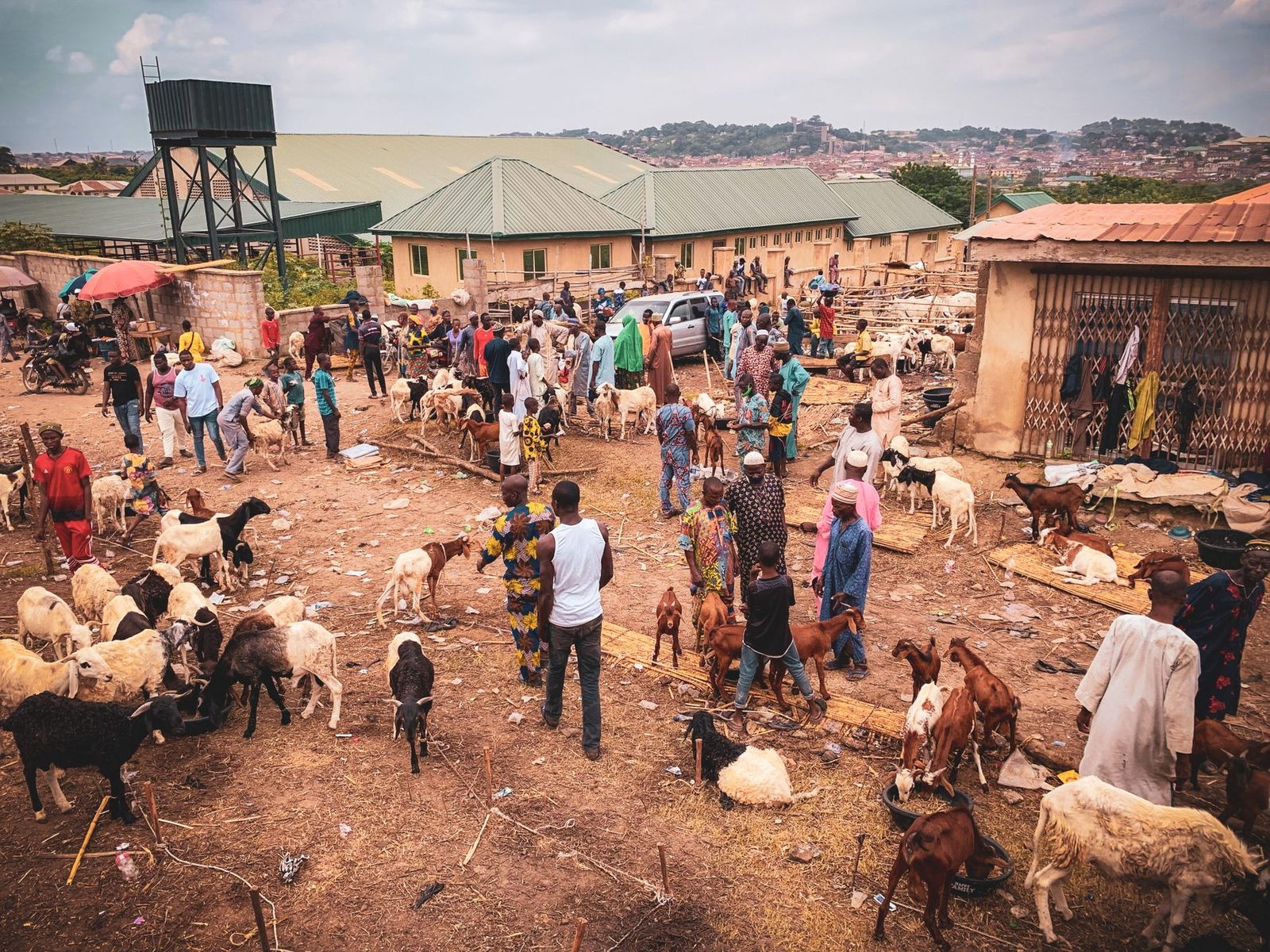 A busy outdoor livestock market with people interacting with goats in an African village.
