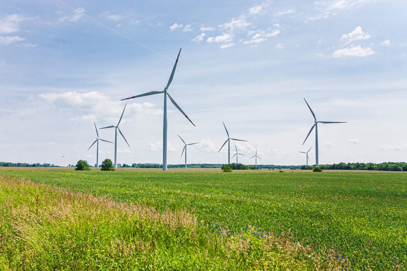 Wind turbines generating clean energy in a lush green landscape under a clear blue sky.