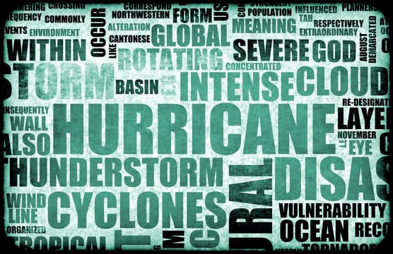 Government Disaster Response & What’s Left to You