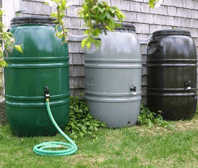 Rainwater Collection: A Prepping Essential