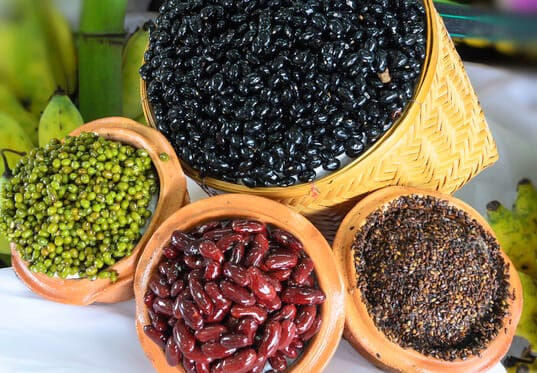 How to Start Your Own Seed Bank