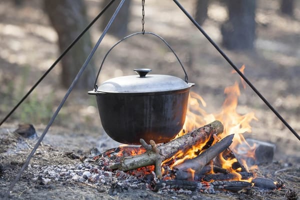 Survival Cooking: How-To