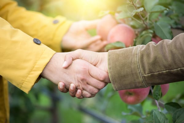 The Top 50 Items To Barter With In Case Of Disaster