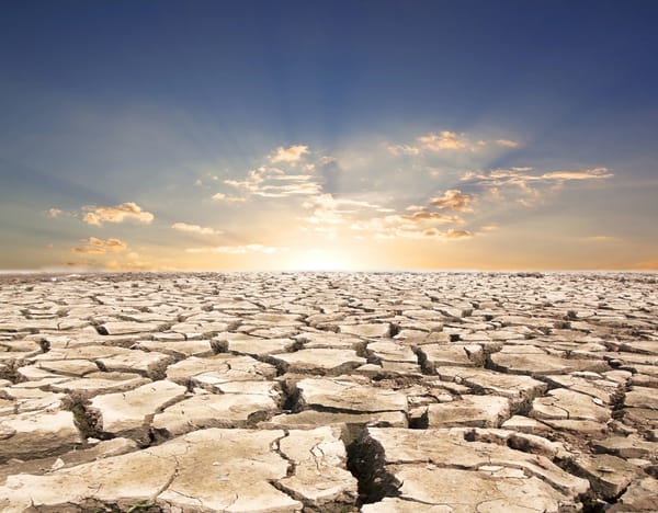 Climate Change and Drought:  Homesteading in the New Normal