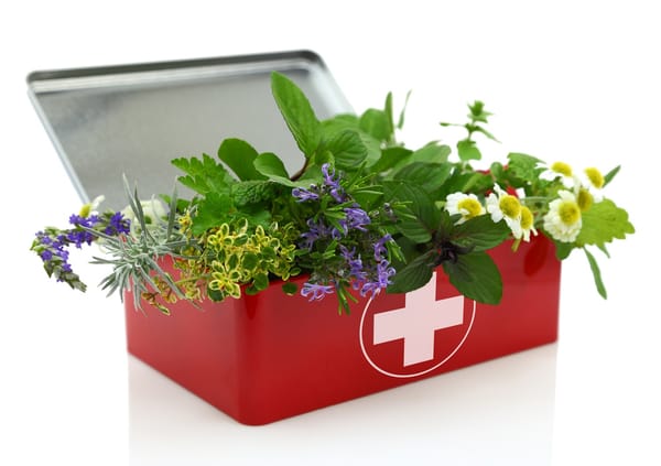 Nature’s Top 5 Most Effective Medicines