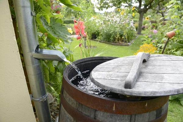 DIY Rainwater Collection Guide For Preppers