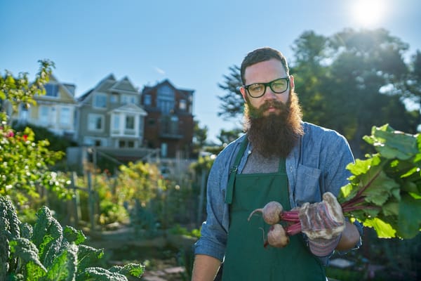 8 Key Elements to Successful Urban Homesteading