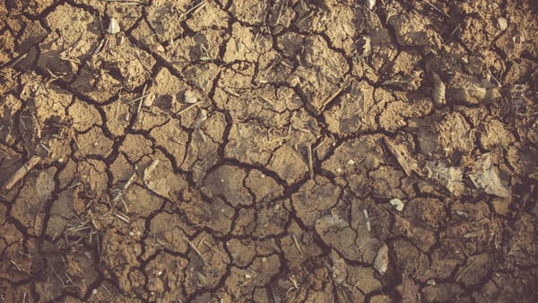 Close-up of cracked, arid soil showing detailed textures and patterns, indicative of drought conditions.