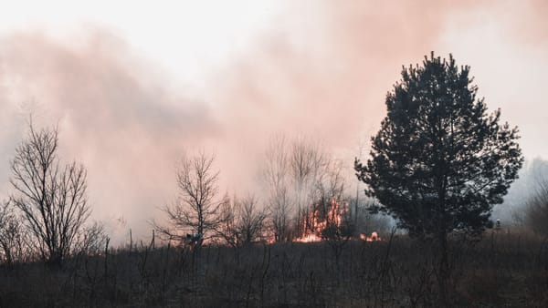 Smoke and flames engulf the forest in Kyiv Oblast, highlighting the threat of wildfires.