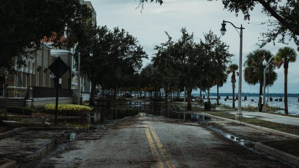 A flooded urban street with palm trees, buildings, and puddles, under a cloudy sky.