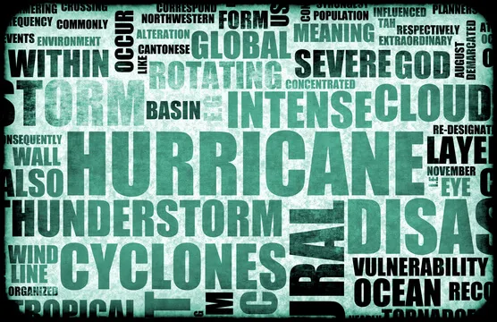 Government Disaster Response & What’s Left to You