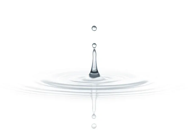 Family Water Storage Guide
