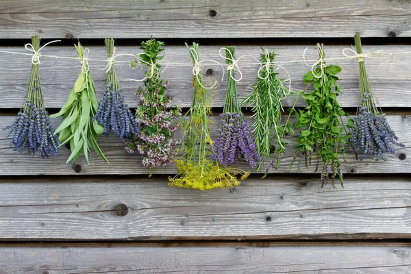 Preparing Your Own Living Medicine Cabinet – 7 Herbs You Should Be Growing Now