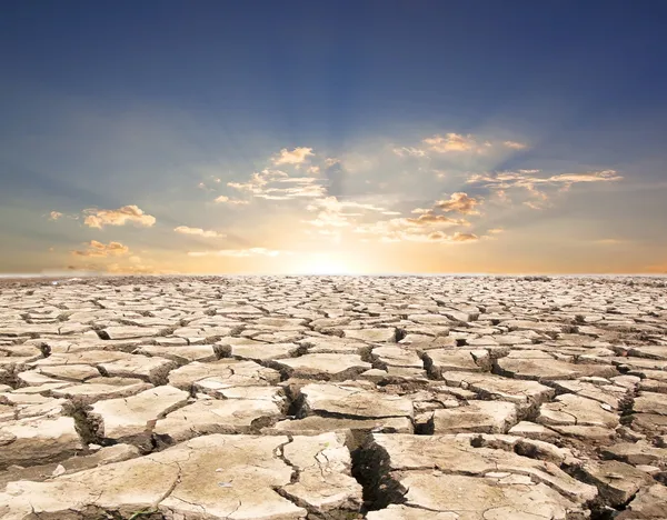 Climate Change and Drought:  Homesteading in the New Normal