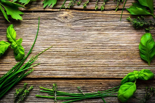 The 10 Best Starter Herbs for your Medicinal Garden