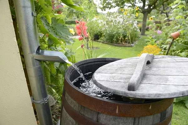 DIY Rainwater Collection Guide For Preppers