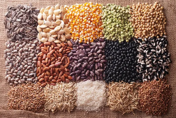 Seed Saving