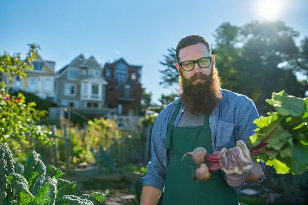 8 Key Elements to Successful Urban Homesteading