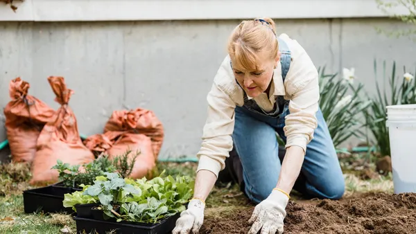 Senior woman kneeling in a garden, planting small plants in soil with protective gloves on.
