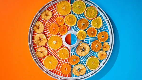 A colorful composition of dried citrus and apple slices on a vivid orange and blue background.