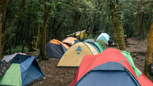 A serene forest campsite with colorful tents set up among tall trees, ideal for outdoor adventurers.