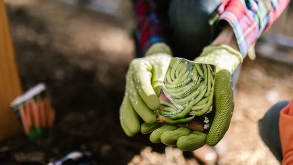Close-up of gloved hands holding seed packets ready to plant in a sunny garden.
