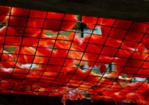 prepper dehydrated food guide