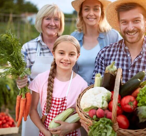 Easy to grow foods for beginning homesteaders