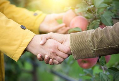 How to barter after teotwawki