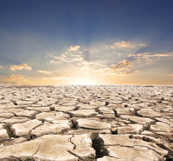 Homesteading in a drought