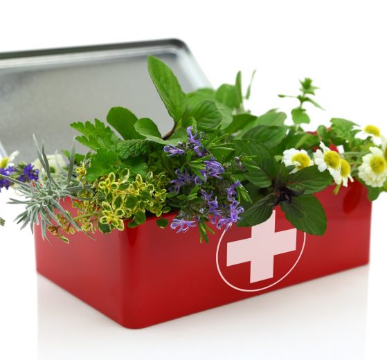 Fresh herbs in first aid kit
