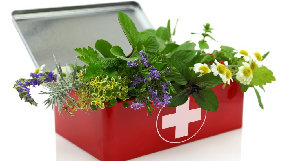 Fresh herbs in first aid kit