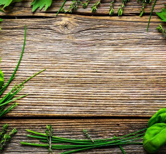 Herbs for prepper medical garden