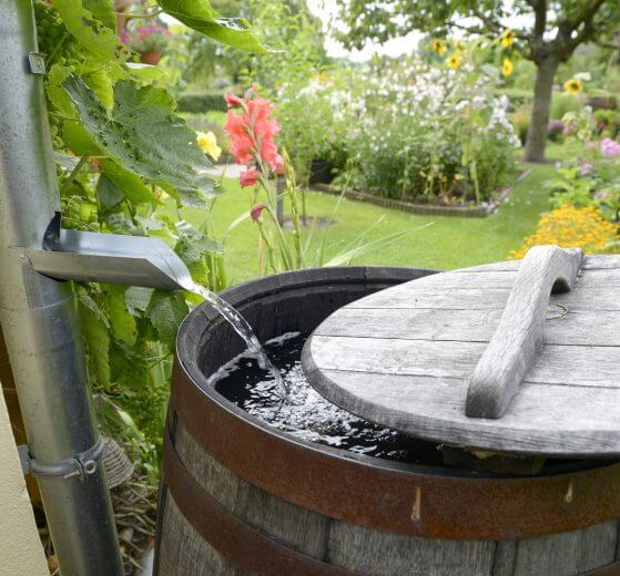 DIY rainwater collection for preppers