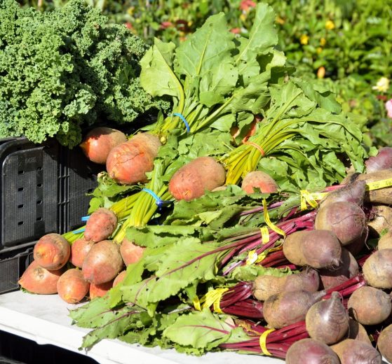 keeping vegetable food in storage longer